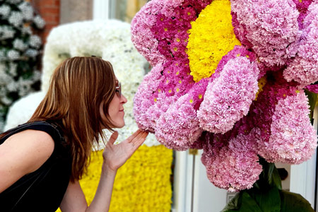 Visit the RHS Hampton Court Palace Flower Show