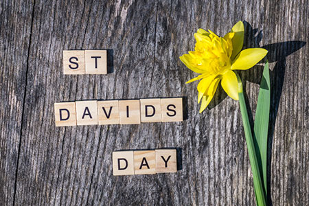 St. David’s Day