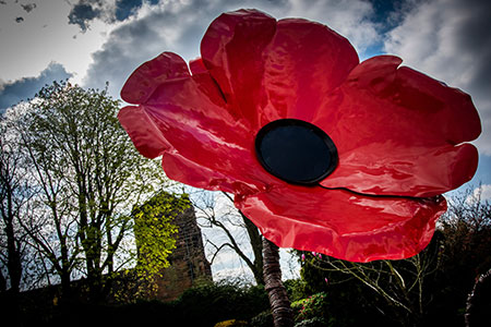 London honours Remembrance Day